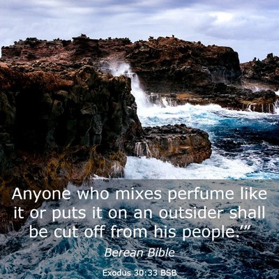 Picture 03 - Exodus 30:33 BSB - Anyone who mixes perfume like it or puts it on an - Bible Verse Picture
