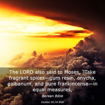Picture 03 - Exodus 30:34 BSB - The LORD also said to Moses, “Take fragrant - Bible Verse Picture