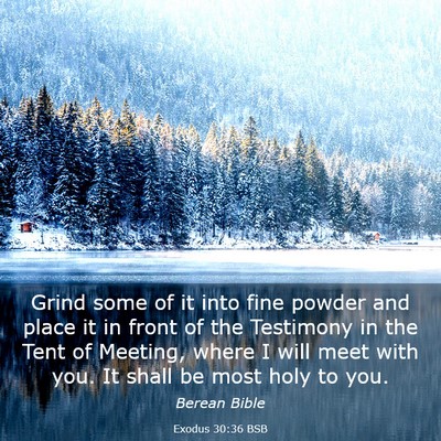 Picture 03 - Exodus 30:36 BSB - Grind some of it into fine powder and place it in - Bible Verse Picture