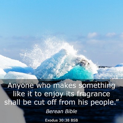 Picture 03 - Exodus 30:38 BSB - Anyone who makes something like it to enjoy its - Bible Verse Picture