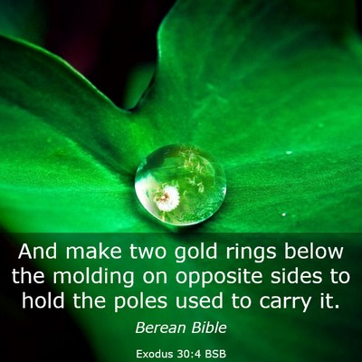 Picture 03 - Exodus 30:4 BSB - And make two gold rings below the molding on - Bible Verse Picture