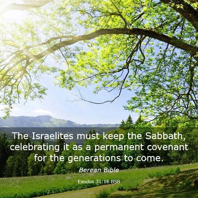 Picture 03 - Exodus 31:16 BSB - The Israelites must keep the Sabbath, celebrating - Bible Verse Picture