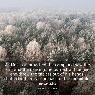 Picture 03 - Exodus 32:19 BSB - As Moses approached the camp and saw the calf and - Bible Verse Picture