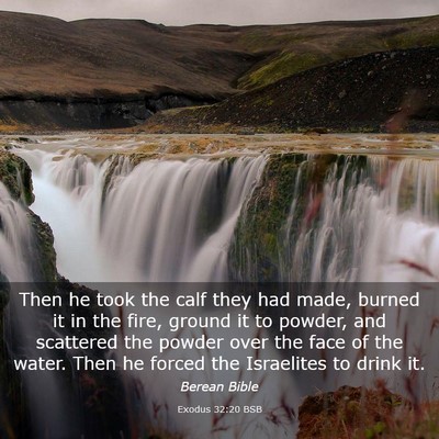 Picture 03 - Exodus 32:20 BSB - Then he took the calf they had made, burned it in - Bible Verse Picture