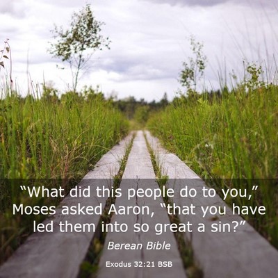 Picture 03 - Exodus 32:21 BSB - “What did this people do to you,” Moses asked - Bible Verse Picture