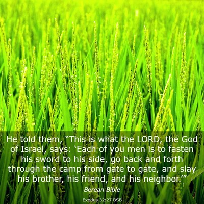Picture 03 - Exodus 32:27 BSB - He told them, “This is what the LORD, the God - Bible Verse Picture