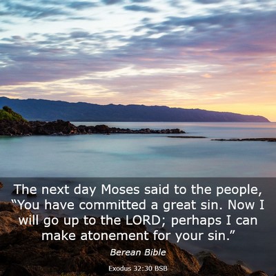 Picture 03 - Exodus 32:30 BSB - The next day Moses said to the people, “You - Bible Verse Picture