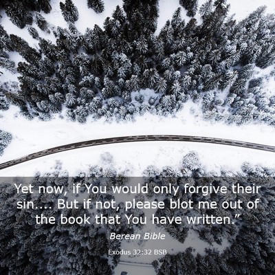 Picture 03 - Exodus 32:32 BSB - Yet now, if You would only forgive their sin.... - Bible Verse Picture