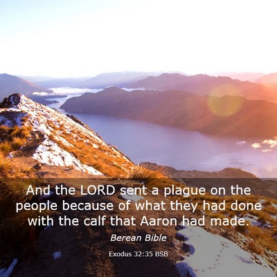 Picture 03 - Exodus 32:35 BSB - And the LORD sent a plague on the people because - Bible Verse Picture