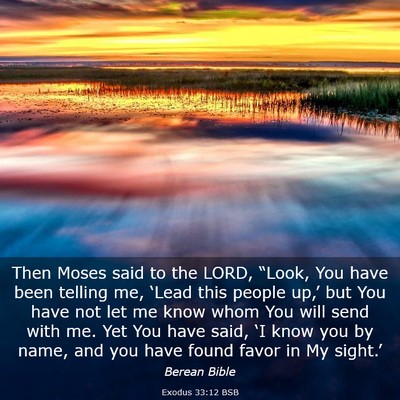 Picture 03 - Exodus 33:12 BSB - Then Moses said to the LORD, “Look, You have - Bible Verse Picture
