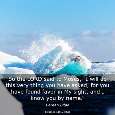 Picture 03 - Exodus 33:17 BSB - So the LORD said to Moses, “I will do this very - Bible Verse Picture