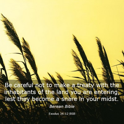 Picture 03 - Exodus 34:12 BSB - Be careful not to make a treaty with the - Bible Verse Picture