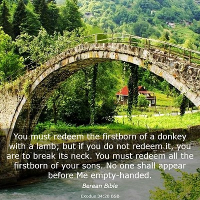 Picture 03 - Exodus 34:20 BSB - You must redeem the firstborn of a donkey with a - Bible Verse Picture