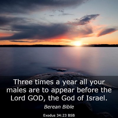 Picture 03 - Exodus 34:23 BSB - Three times a year all your males are to appear - Bible Verse Picture
