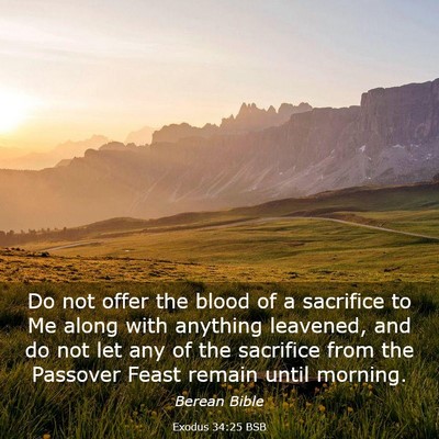 Picture 03 - Exodus 34:25 BSB - Do not offer the blood of a sacrifice to Me along - Bible Verse Picture