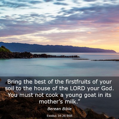 Picture 03 - Exodus 34:26 BSB - Bring the best of the firstfruits of your soil to - Bible Verse Picture