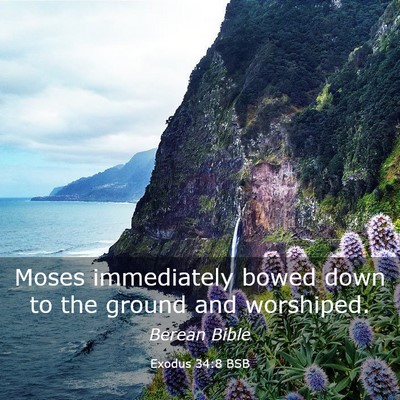 Picture 03 - Exodus 34:8 BSB - Moses immediately bowed down to the ground and - Bible Verse Picture