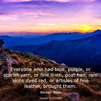 Picture 03 - Exodus 35:23 BSB - Everyone who had blue, purple, or scarlet yarn, - Bible Verse Picture