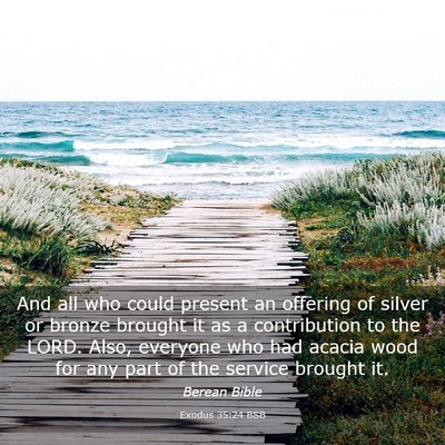 Picture 03 - Exodus 35:24 BSB - And all who could present an offering of silver - Bible Verse Picture