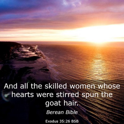 Picture 03 - Exodus 35:26 BSB - And all the skilled women whose hearts were - Bible Verse Picture