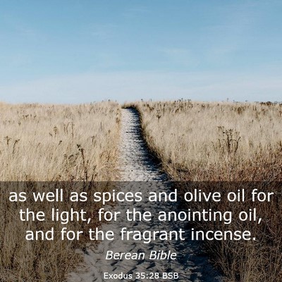 Picture 03 - Exodus 35:28 BSB - as well as spices and olive oil for the light, - Bible Verse Picture