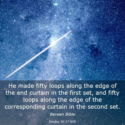 Picture 03 - Exodus 36:17 BSB - He made fifty loops along the edge of the end - Bible Verse Picture