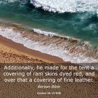 Picture 03 - Exodus 36:19 BSB - Additionally, he made for the tent a covering of - Bible Verse Picture