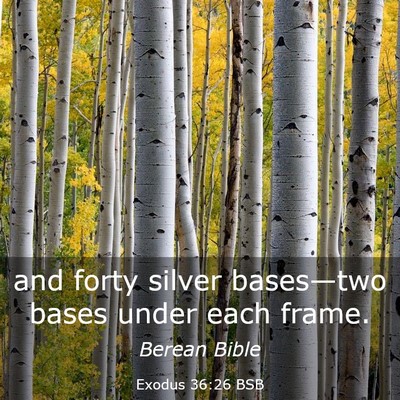 Picture 03 - Exodus 36:26 BSB - and forty silver bases—two bases under each - Bible Verse Picture
