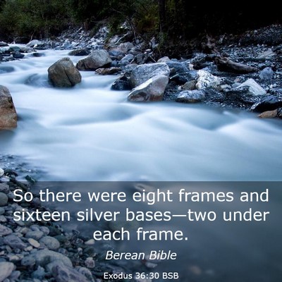 Picture 03 - Exodus 36:30 BSB - So there were eight frames and sixteen silver - Bible Verse Picture