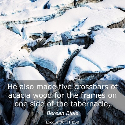 Picture 03 - Exodus 36:31 BSB - He also made five crossbars of acacia wood for - Bible Verse Picture