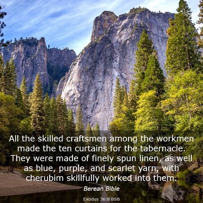 Picture 03 - Exodus 36:8 BSB - All the skilled craftsmen among the workmen made - Bible Verse Picture