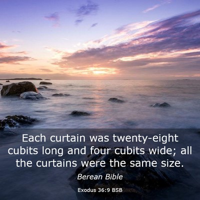 Picture 03 - Exodus 36:9 BSB - Each curtain was twenty-eight cubits long and - Bible Verse Picture