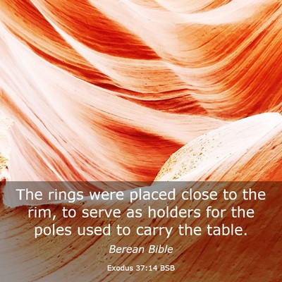 Picture 03 - Exodus 37:14 BSB - The rings were placed close to the rim, to serve - Bible Verse Picture