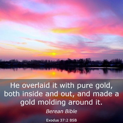 Picture 03 - Exodus 37:2 BSB - He overlaid it with pure gold, both inside and - Bible Verse Picture