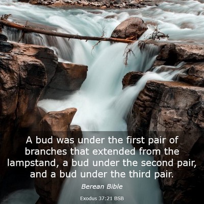 Picture 03 - Exodus 37:21 BSB - A bud was under the first pair of branches that - Bible Verse Picture