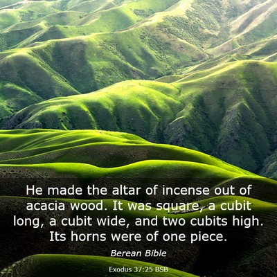 Picture 03 - Exodus 37:25 BSB - He made the altar of incense out of acacia wood. - Bible Verse Picture