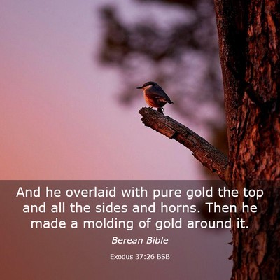 Picture 03 - Exodus 37:26 BSB - And he overlaid with pure gold the top and all - Bible Verse Picture
