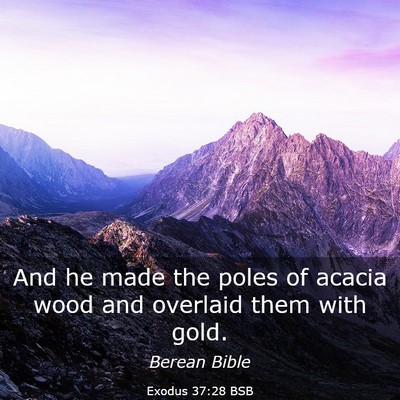 Picture 03 - Exodus 37:28 BSB - And he made the poles of acacia wood and overlaid - Bible Verse Picture