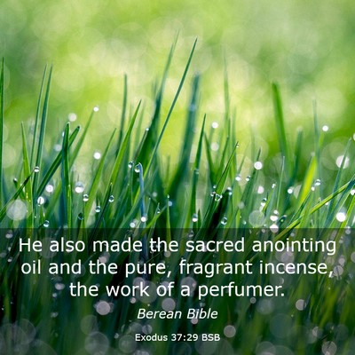 Picture 03 - Exodus 37:29 BSB - He also made the sacred anointing oil and the - Bible Verse Picture