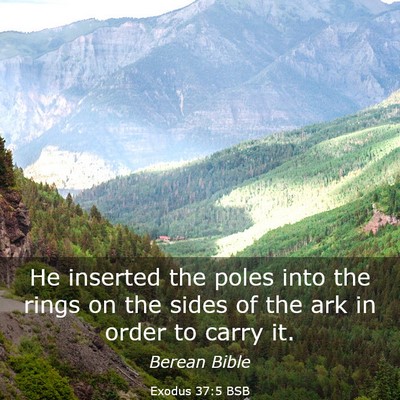 Picture 03 - Exodus 37:5 BSB - He inserted the poles into the rings on the sides - Bible Verse Picture