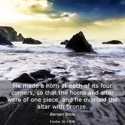 Picture 03 - Exodus 38:2 BSB - He made a horn at each of its four corners, so - Bible Verse Picture