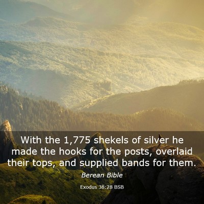 Picture 03 - Exodus 38:28 BSB - With the 1,775 shekels of silver he made the - Bible Verse Picture