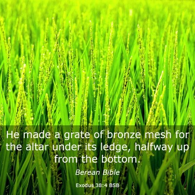 Picture 03 - Exodus 38:4 BSB - He made a grate of bronze mesh for the altar - Bible Verse Picture