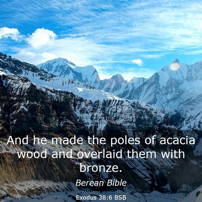 Picture 03 - Exodus 38:6 BSB - And he made the poles of acacia wood and overlaid - Bible Verse Picture