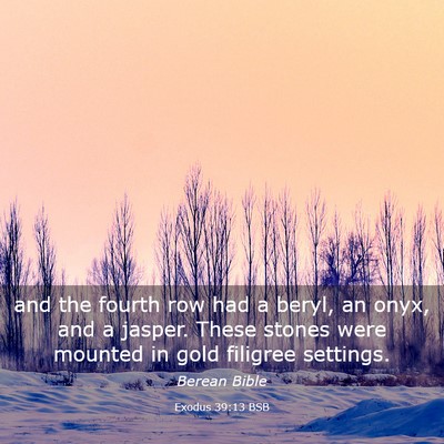 Picture 03 - Exodus 39:13 BSB - and the fourth row had a beryl, an onyx, and a - Bible Verse Picture