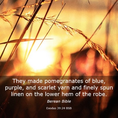 Picture 03 - Exodus 39:24 BSB - They made pomegranates of blue, purple, and - Bible Verse Picture