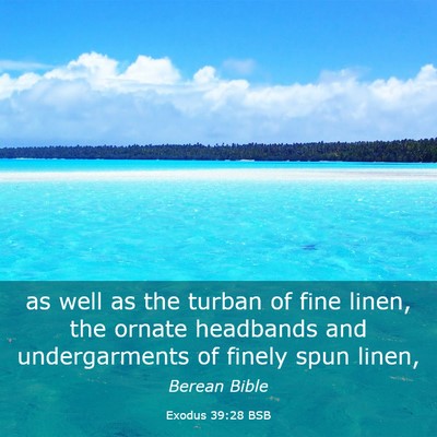 Picture 03 - Exodus 39:28 BSB - as well as the turban of fine linen, the ornate - Bible Verse Picture