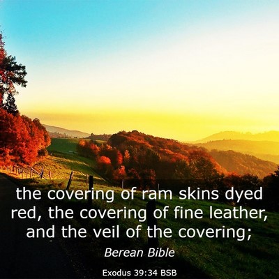 Picture 03 - Exodus 39:34 BSB - the covering of ram skins dyed red, the covering - Bible Verse Picture