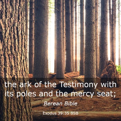 Picture 03 - Exodus 39:35 BSB - the ark of the Testimony with its poles and the - Bible Verse Picture