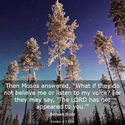 Picture 03 - Exodus 4:1 BSB - Then Moses answered, “What if they do not - Bible Verse Picture